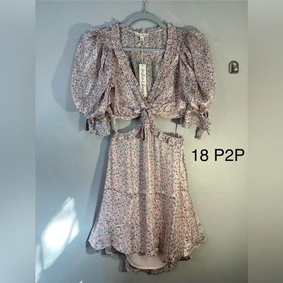 For love and lemons phoebe mini dress pink cut out floral nwt - Picture 4 of 6